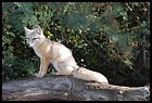 28_zookri_01012006.JPG