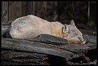 12_ZOO_211021.JPG