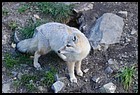 34_ZOO_211021.JPG