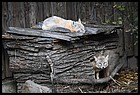 17ZOO_21102021.JPG