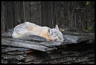 18ZOO_21102021.JPG