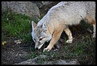 26ZOO_21102021.JPG