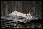 35ZOO_21102021.JPG