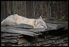 38ZOO_21102021.JPG