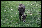 40ZOO_21102021.JPG