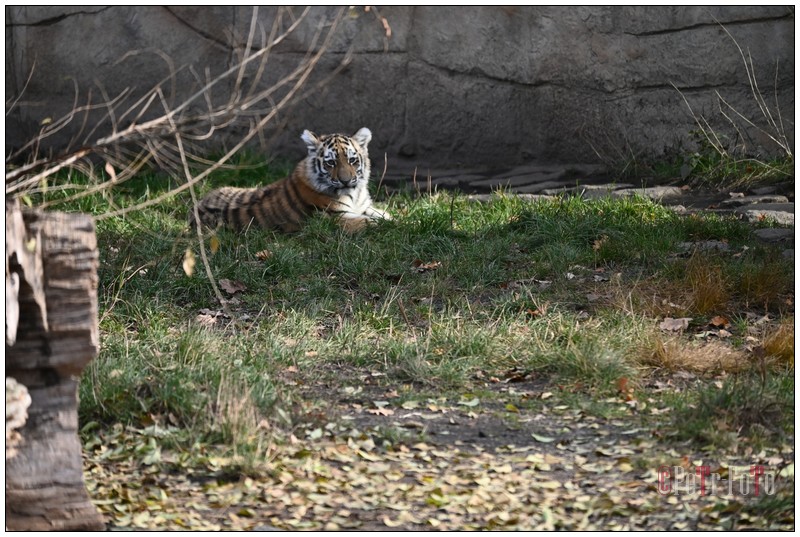 04_zoo_16112021].JPG