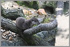 016_ZOO_14092021.JPG