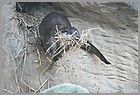 019_ZOO_14092021.JPG