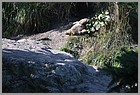 039_ZOO_14092021.JPG