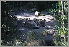 049_ZOO_14092021.JPG