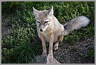 059_ZOO_14092021.JPG