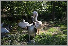 084_ZOO_14092021.JPG