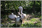 086_ZOO_14092021.JPG