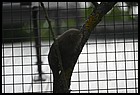 011_zoo_hl_20082021.JPG