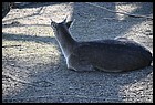 20_zoo_01012022.JPG