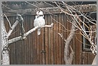 04_zoo_170322_17032022.JPG