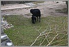 12_zoo_170322_17032022.JPG