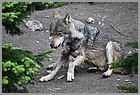 17_ZOO_13052022.JPG