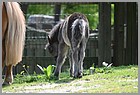 33_ZOO_13052022.JPG