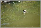 11_ZOO_02062022.JPG