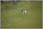 12_ZOO_02062022.JPG