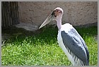 19_ZOO_02062022.JPG