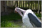 21_ZOO_02062022.JPG